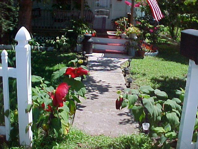 Flowers in Chincoteague