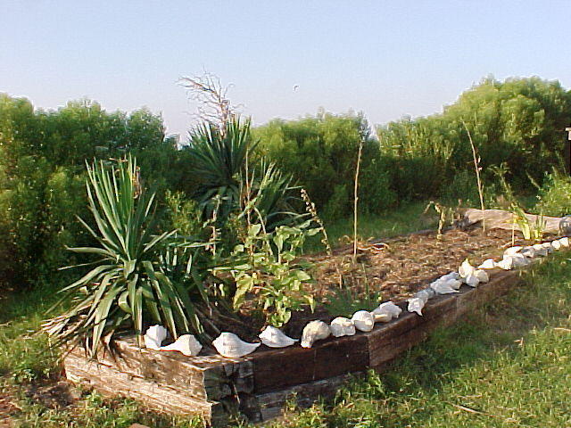 September 1st, the Gardens