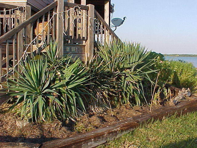 Sptember 1st, the Gardens