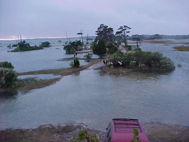 High Tide, Oct. 25th, Chincoteague Island