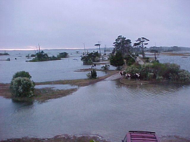 High Tide, Oct. 25th, Chincoteague Island