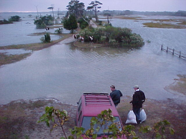 High Tide, Oct. 25th, Chincoteague Island