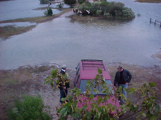 High Tide, Oct. 25th, Chincoteague Island