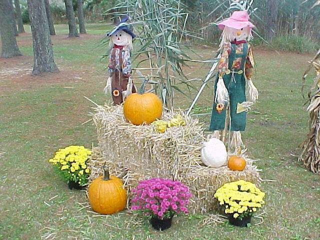 Stage Decorations by Donna and the Pirate