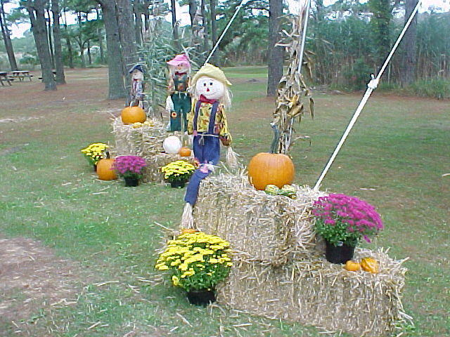 Stage Decorations by Donna and The Pirate