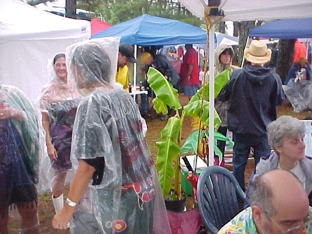 Palm Trees @ Chincoteague Oyster Festival