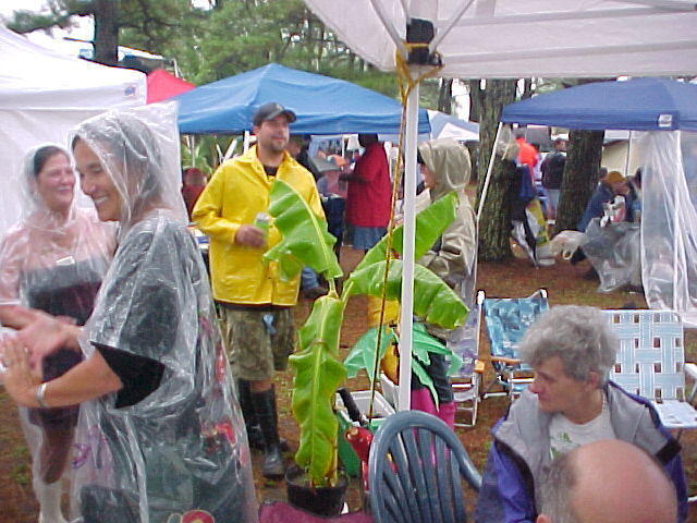 Chincoteague Oyster Festival Weather Man