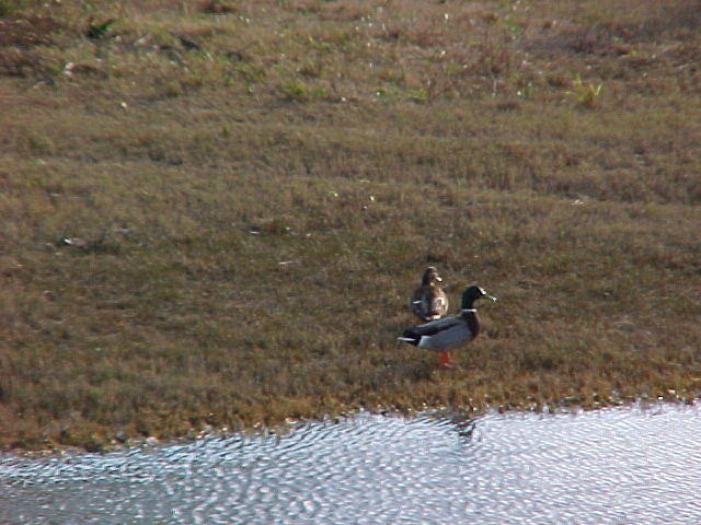 Nov. 24th, 2005 Thanksgiving