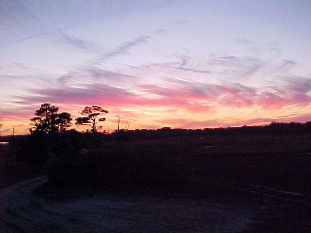 Nov. 19th, 2005 Chincoteague Island