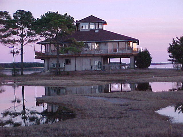 Nov. 27th. 2005 Chincoteague Island VA.