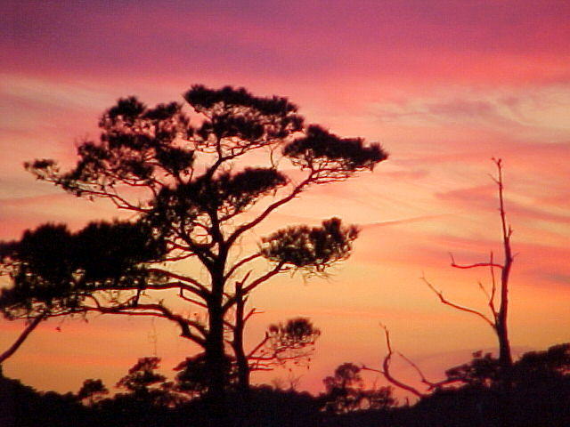 Nov. 19th, 2005 Chincoteague Island