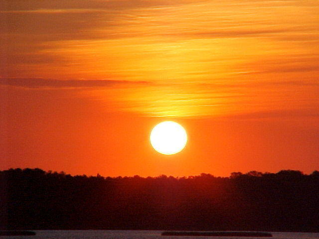 Nov. 24th, 2005 Thanksgiving