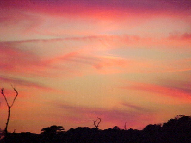 Nov. 19th, 2005 Chincoteague Island