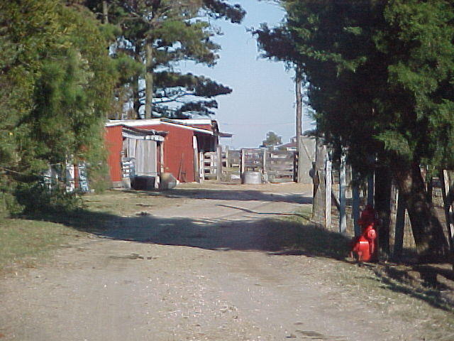 Nov. 19th, 2005 Chincoteague Island