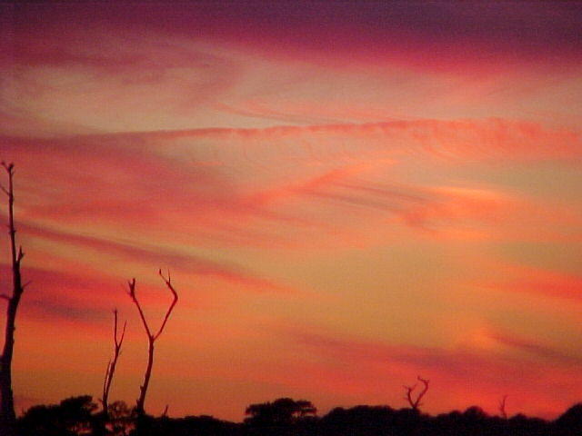 Nov. 19th, 2005 Chincoteague Island