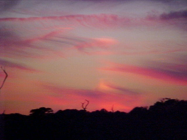 Nov. 19th, 2005 Chincoteague Island