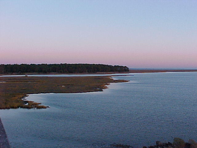 Nov. 11th, 2005 Chincoteague Island
