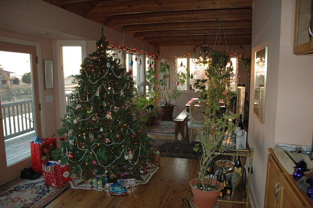 Dec 21st. 2005, Donna's Tree