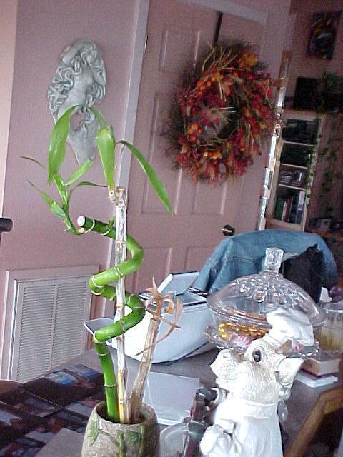 Donna's Home Dec.4th, 2005