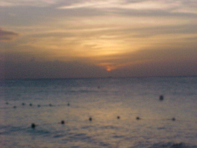 Jan. 27th, 2006 at Mi Yard, Negril