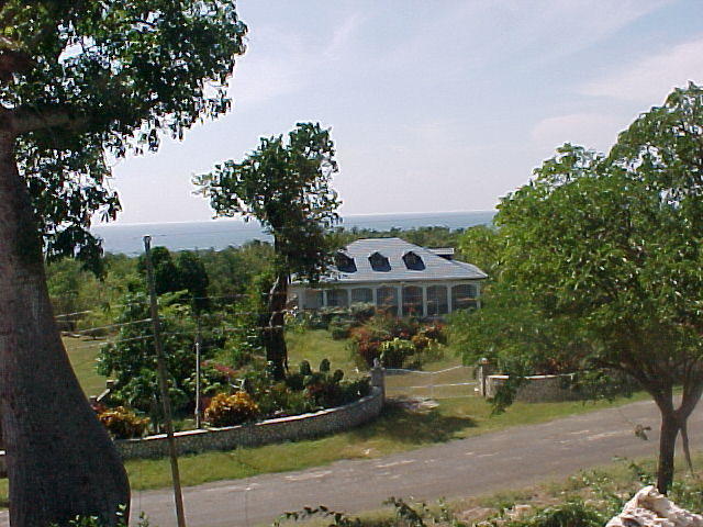 MVC_005F_006.jpg