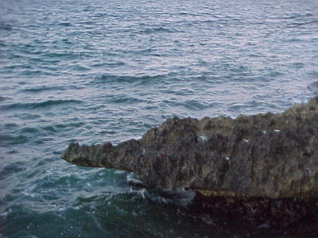 MVC_008F_011.jpg