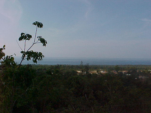 MVC_009F_007.jpg