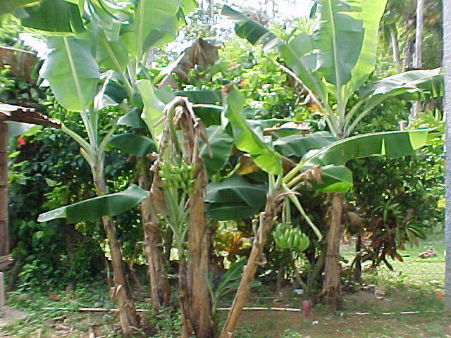 MVC_009F_018.jpg