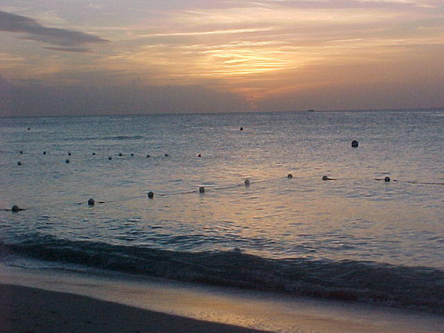 Jan. 27th, 2006 at Mi Yard, Negril