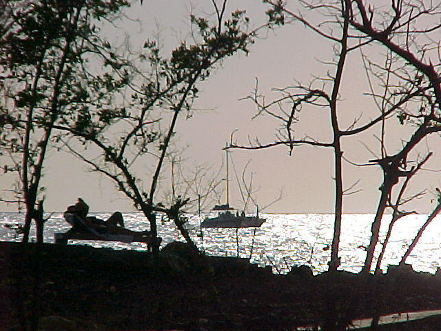 MVC_010F_019.jpg