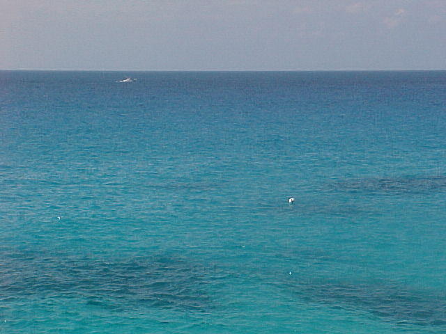 MVC_011F_007.jpg