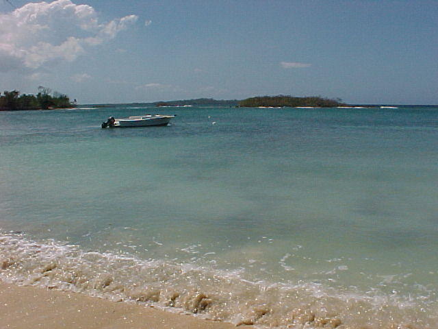 MVC_056F_002.jpg