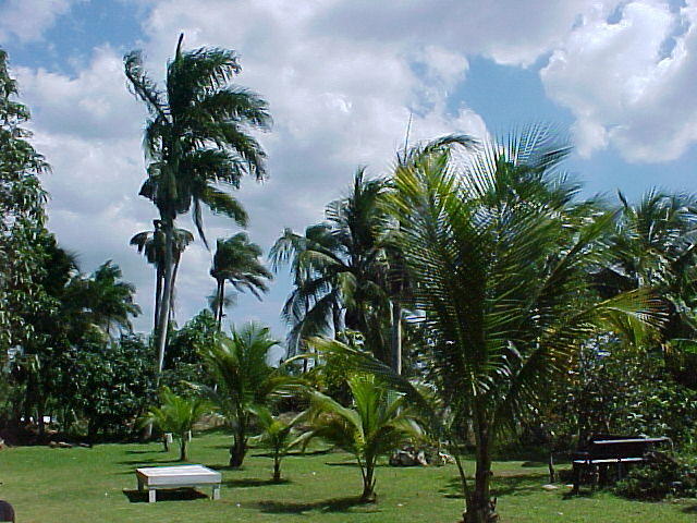 MVC_072F_001.jpg