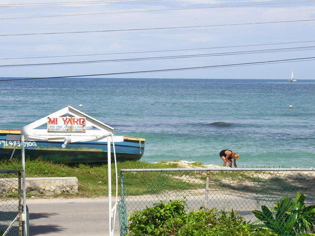Blondie on the Mi Yard Beach