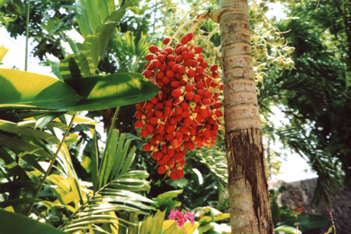 Another fine beauty!!!