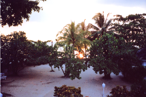 View from the Melon room