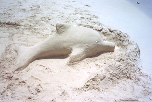 Dolpin Sand Sculpture
