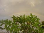 Apr2 rainbow5 over the noni