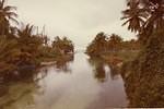 old negril river