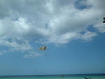 Parasail