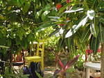Garden dining @ Just Natural