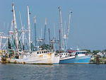 Chincoteague Harbour