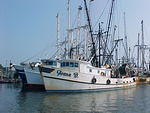 Chincoteague Harbour