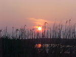 Sunset in Chincoteague from the beach
