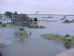 Oct. 12th, 2005  High Tides
