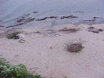 Oct. 12th, 2005  High Tides