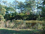 Oct. 23rd, 2005, Leonards Land, Chincoteague Island