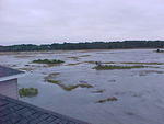 Oct. 12th, 2005  High Tides