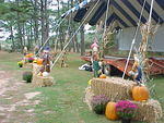 Stage Decorations by Donna and The Pirate