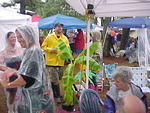 Chincoteague Oyster Festival Weather Man